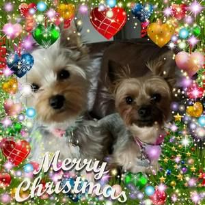 Meet your Posher, Connie